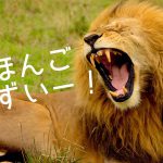 PHÁT ÂM TIẾNG NHẬT CHUẨN NHƯ NGƯỜI BẢN XỨ 21 phát âm tiếng nhật