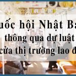 Tin tức: Quốc hội Nhật Bản thông qua dự luật mở cửa thị trường lao động 22 Quốc hội Nhật Bản thông qua dự luật mở cửa thị trường lao động