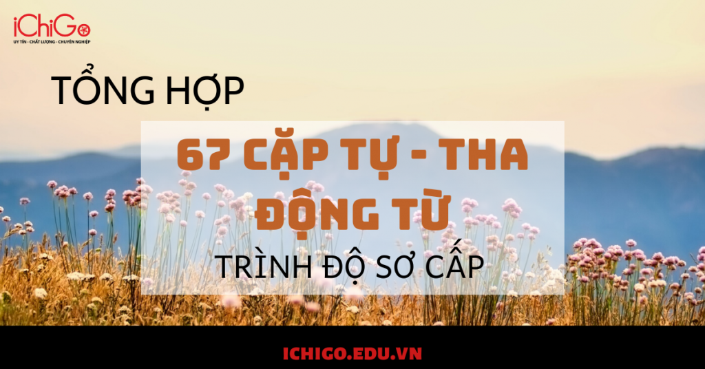 Tổng hợp toàn bộ tự - tha động từ thông dụng Sơ cấp bạn phải nhớ 66 Tự tha động từ